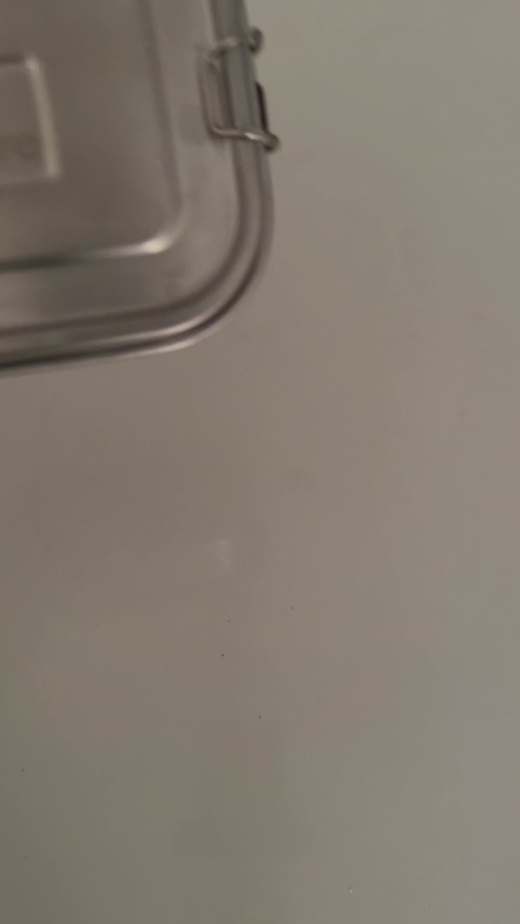 Everyday Stainless Steel Lunch Box