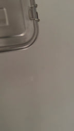Everyday Stainless Steel Lunch Box